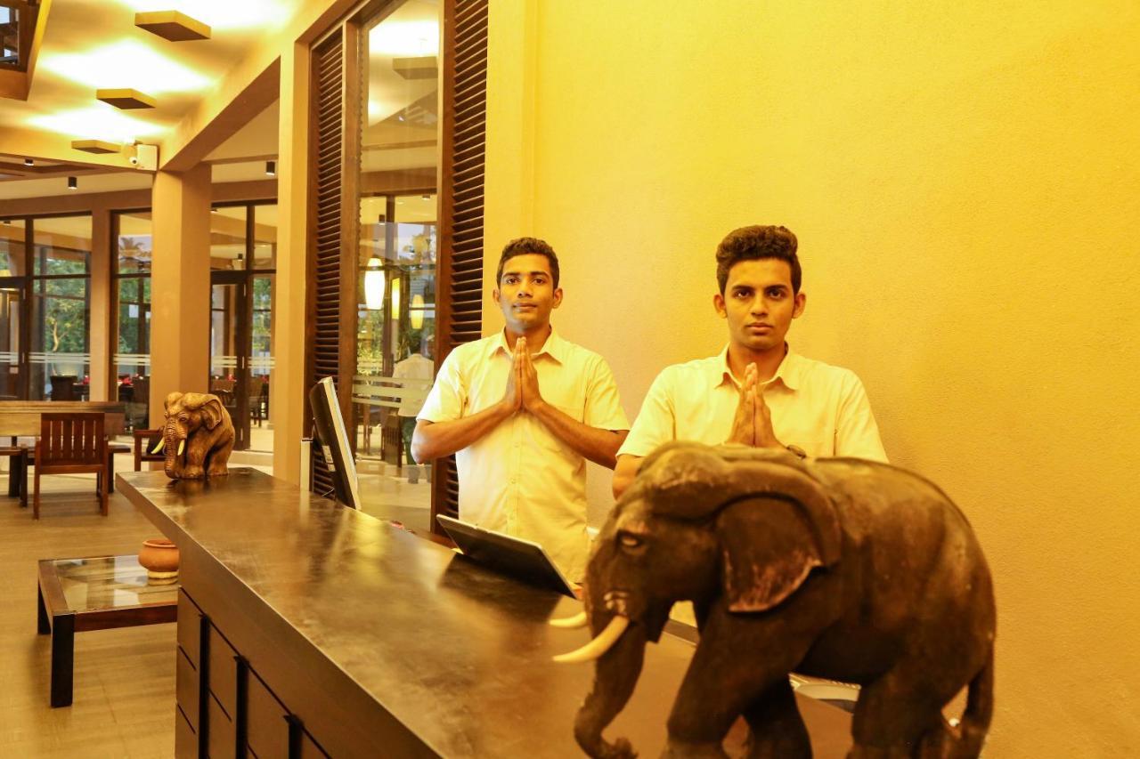 Oak Ray Wild Yala Hotel Tissamaharama Eksteriør billede